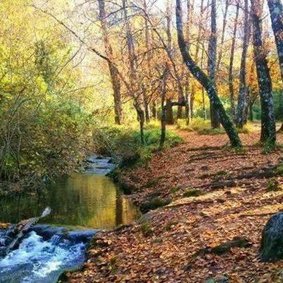 Casa El Pinsapar Country house El Bosque